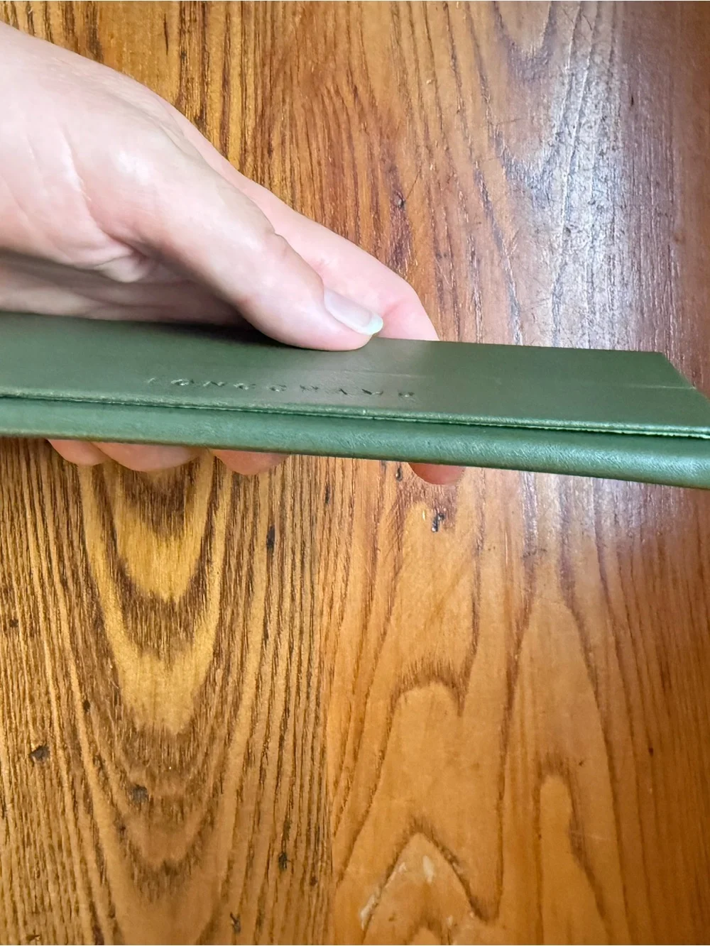Longchamp Dark Green Leather Eyewear Case